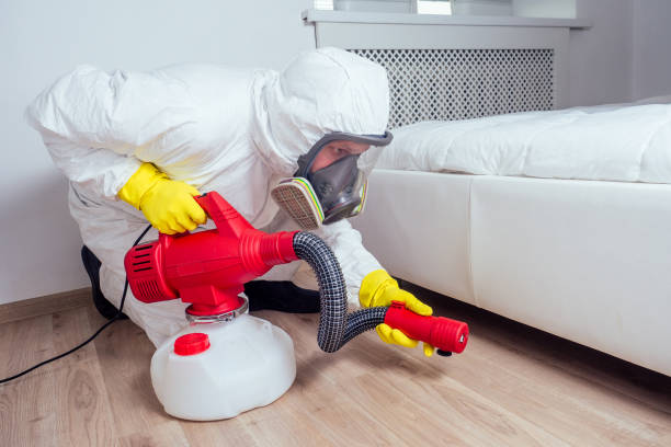 Commercial Pest Control Solutions